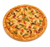 VEGETARIAN